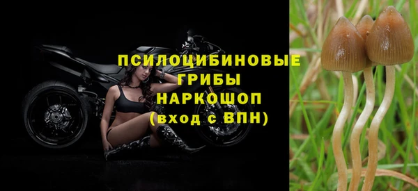 мескалин Вязники