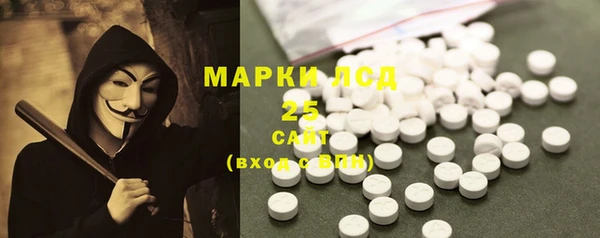 соль ск Вяземский