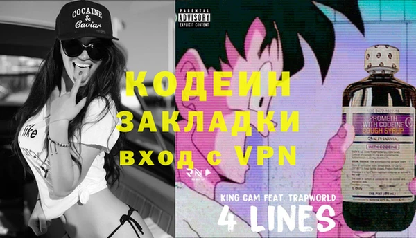 соль ск Вяземский