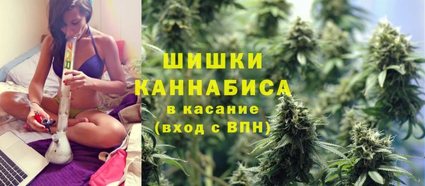 соль ск Вяземский